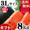 【送料無料】当麻町産 デンスケスイカ 秀品 3Lサイズ 8〜9kg 黒皮のスイカです。【旬のフルーツ くだものギフト】