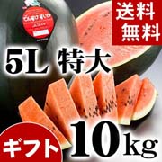 【送料無料】当麻町産 でんすけすいか 秀品 特大 5Lサイズ 10〜11kg 黒皮のスイカです。【旬のフルーツ くだものギフト】