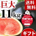 【送料無料】当麻町産 デンスケスイカ 秀品 超特大 6Lサイズ 11kg以上 黒皮のスイカです。【旬のフルーツ くだものギフト】