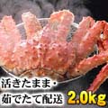 活本タラバガニ オス 2kg前後 活カニ通販 活けたらばがに