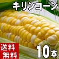 【送料無料】 北海道旭川近郊産 とうもろこし 旭山動物園キリンコーン(バイカラー種トウモロコシ) 10本入り