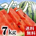 【送料無料】富良野・浦臼産マドンナすいか 秀品 2Lサイズ 7〜8kg 【旬のフルーツ くだもの】【ギフト】