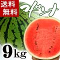 【送料無料】富良野・浦臼産マドンナすいか 秀品 4Lサイズ 9〜10kg 【旬のフルーツ くだもの】【ギフト】
