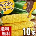 【送料無料】 北海道旭川近郊産 とうもろこし 旭山動物園ライオンコーン(ゴールドラッシュトウモロコシ) 10本入り