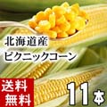 【送料無料】 ピクニックコーン 北海道名寄産 小型とうもろこし 11本入り