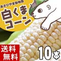 【送料無料】 北海道産 とうもろこし 旭山動物園白くまコーン(ピュアホワイト・ホワイトレディー・クリスピーホワイト) 10本入り