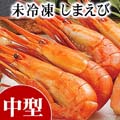未冷凍 北海しまえび Mサイズ 500g前後(30〜40尾入り) 北海道産 海老通販