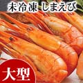 未冷凍 北海しまえび Lサイズ 500g前後(20〜30尾入り) 北海道産 海老通販