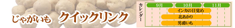 北海道\じゃがいも