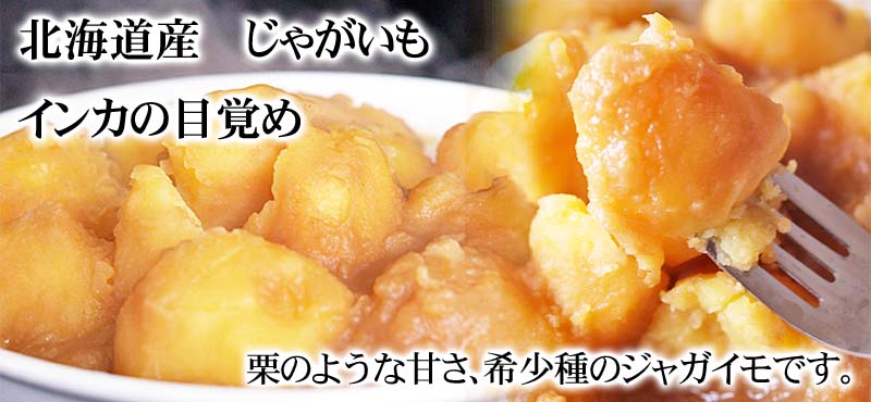 いんかの目覚め