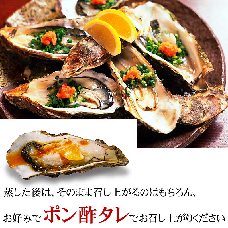 いまだけ食べられる季節限定のサロマ産牡蠣貝