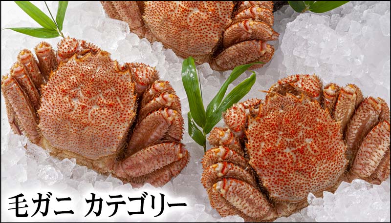 毛ガニ カテゴリー