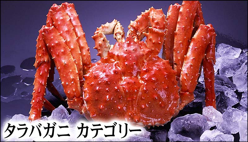 タラバガニ姿　3キロ　ボイル冷凍 ボイル冷凍タラバガニ 生きたタラバガニ 冷凍タラバガニ足 冷凍