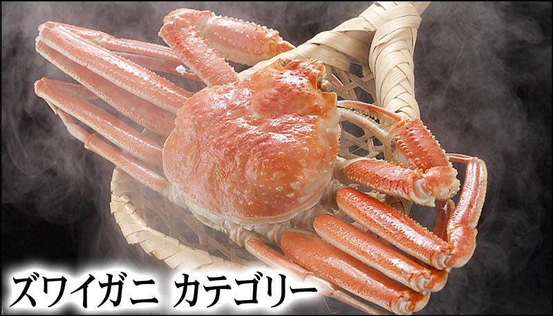 ズワイガニ カテゴリー