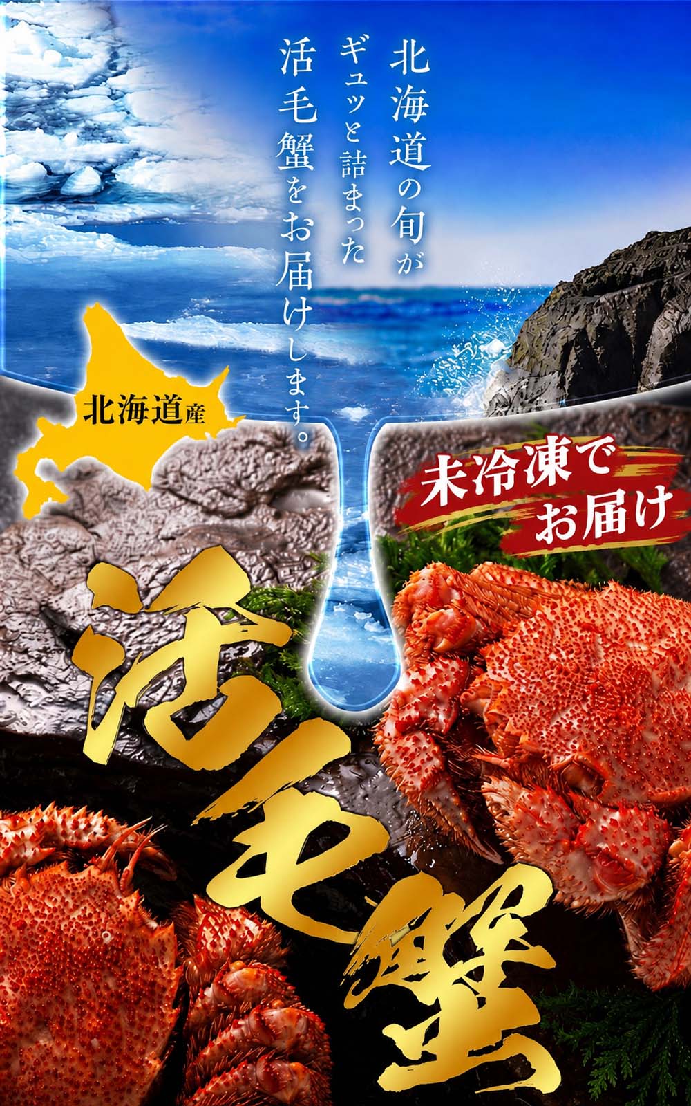 活毛蟹