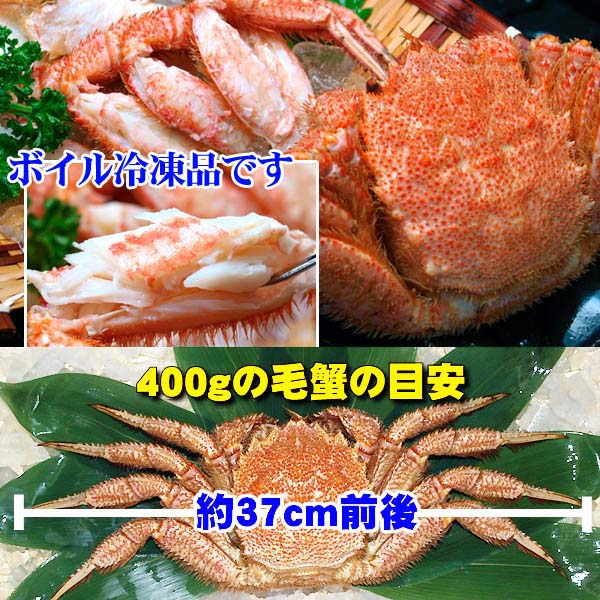 北海道の毛ガニ、濃厚な蟹味噌もたっぷり詰まっています