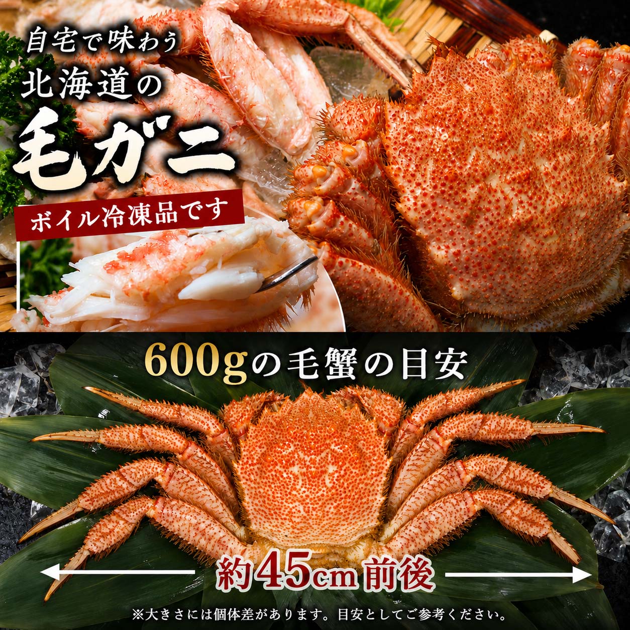 大型の毛ガニ 濃厚な味噌と身の入り