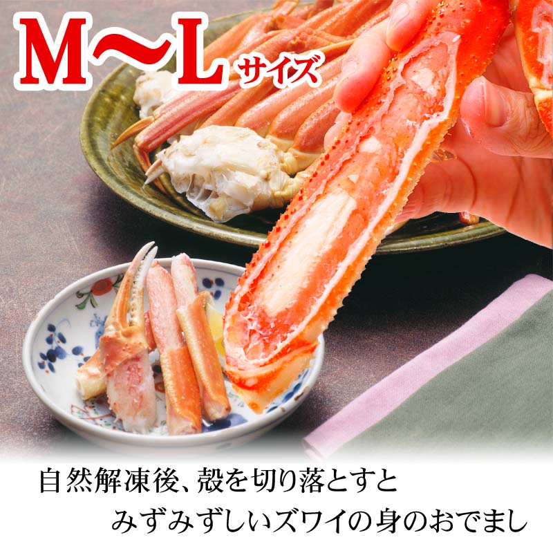 ずわい蟹　足サイズM〜L