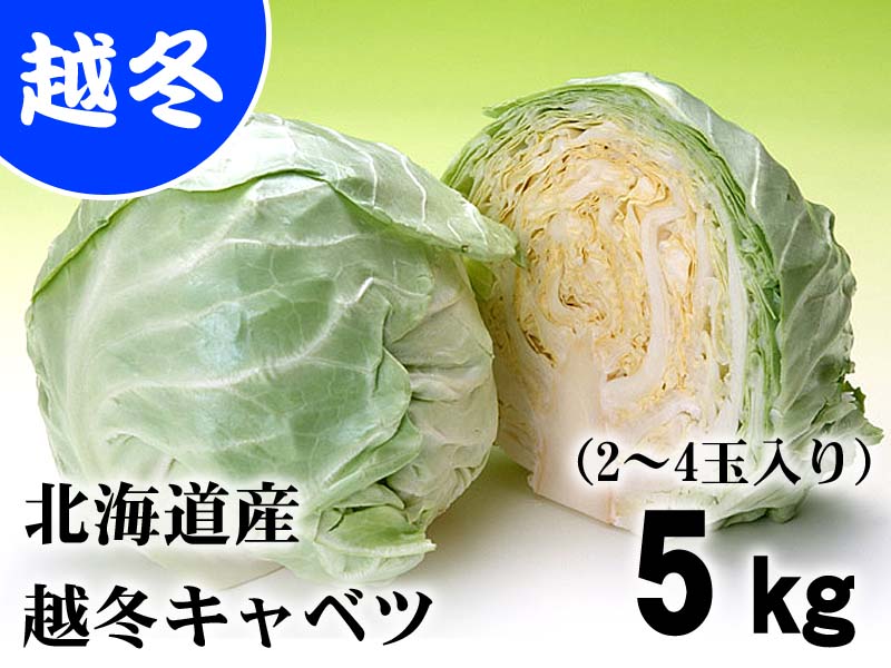 北海道産の越冬キャベツ 雪の下キャベツ