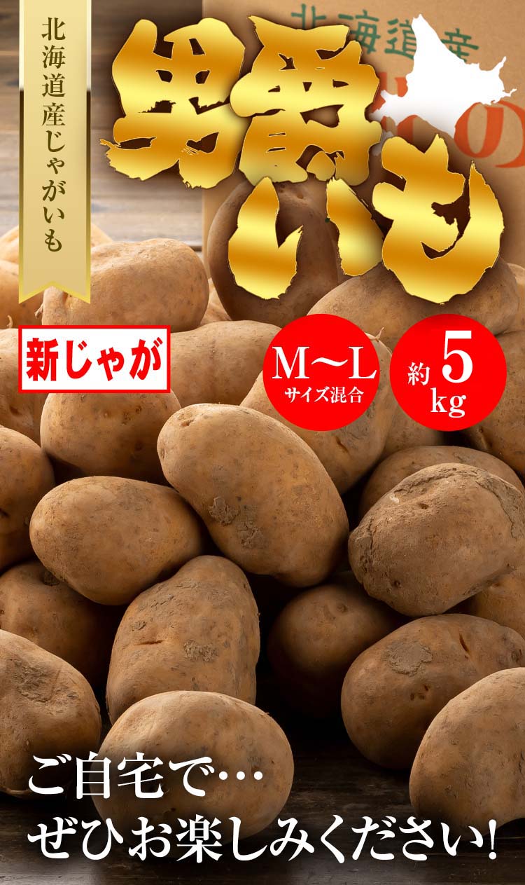 北海道産　男爵いも