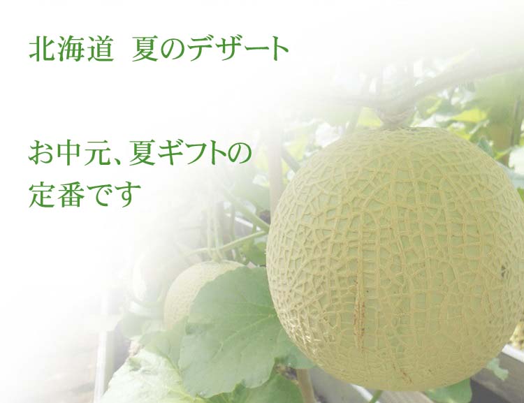 特大メロン、お中元に最適な北海道のフルーツ
