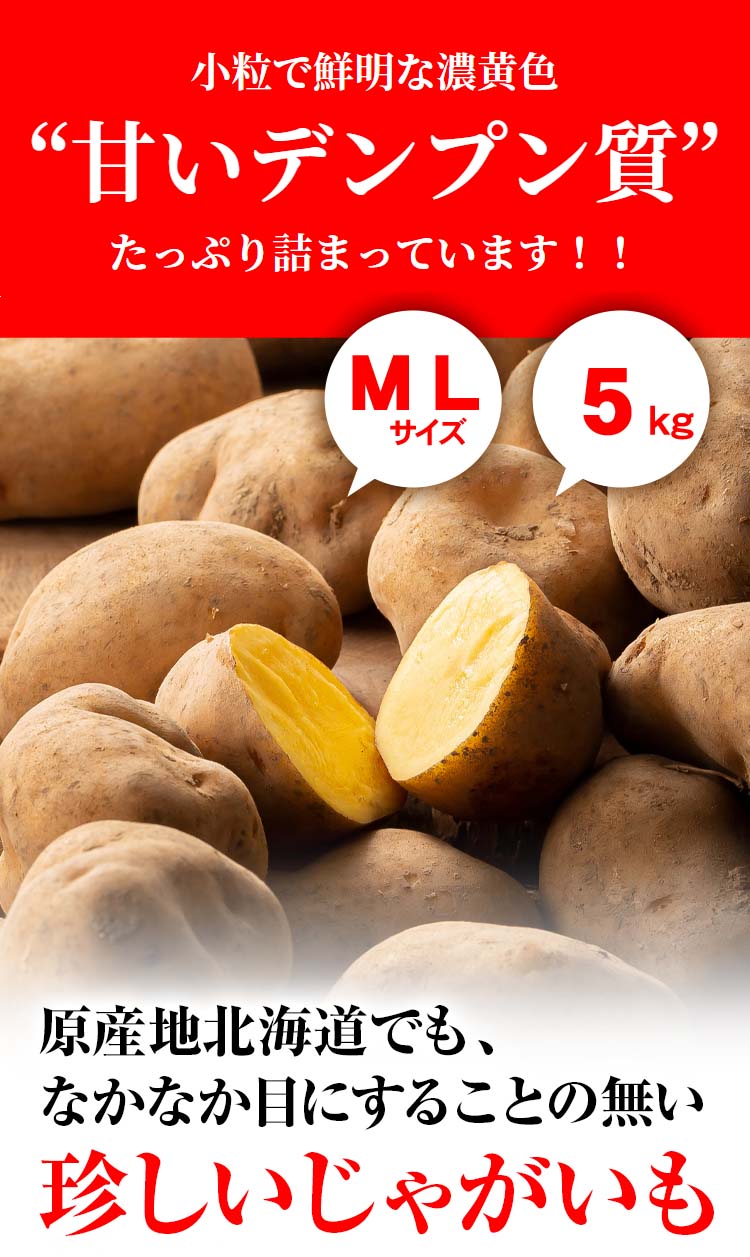 北海道産じゃがいも　インカの目覚め