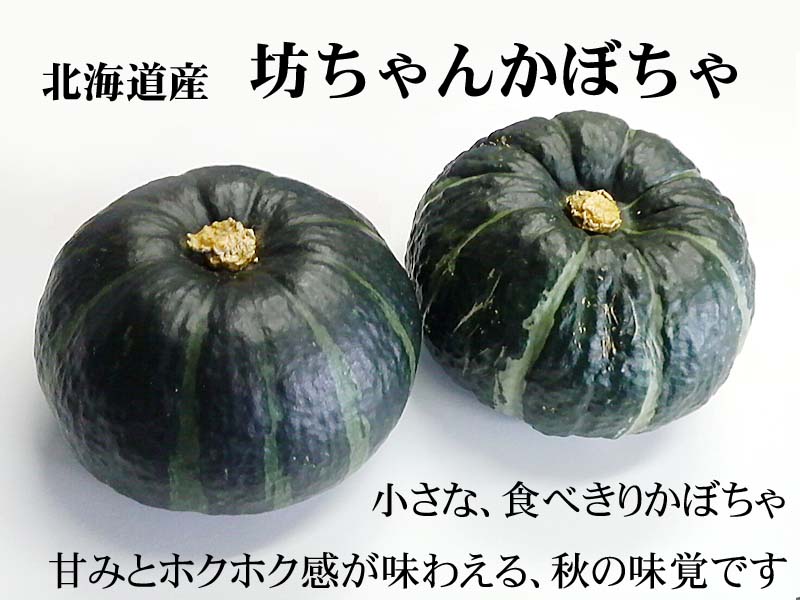 北海道産坊ちゃんかぼちゃ