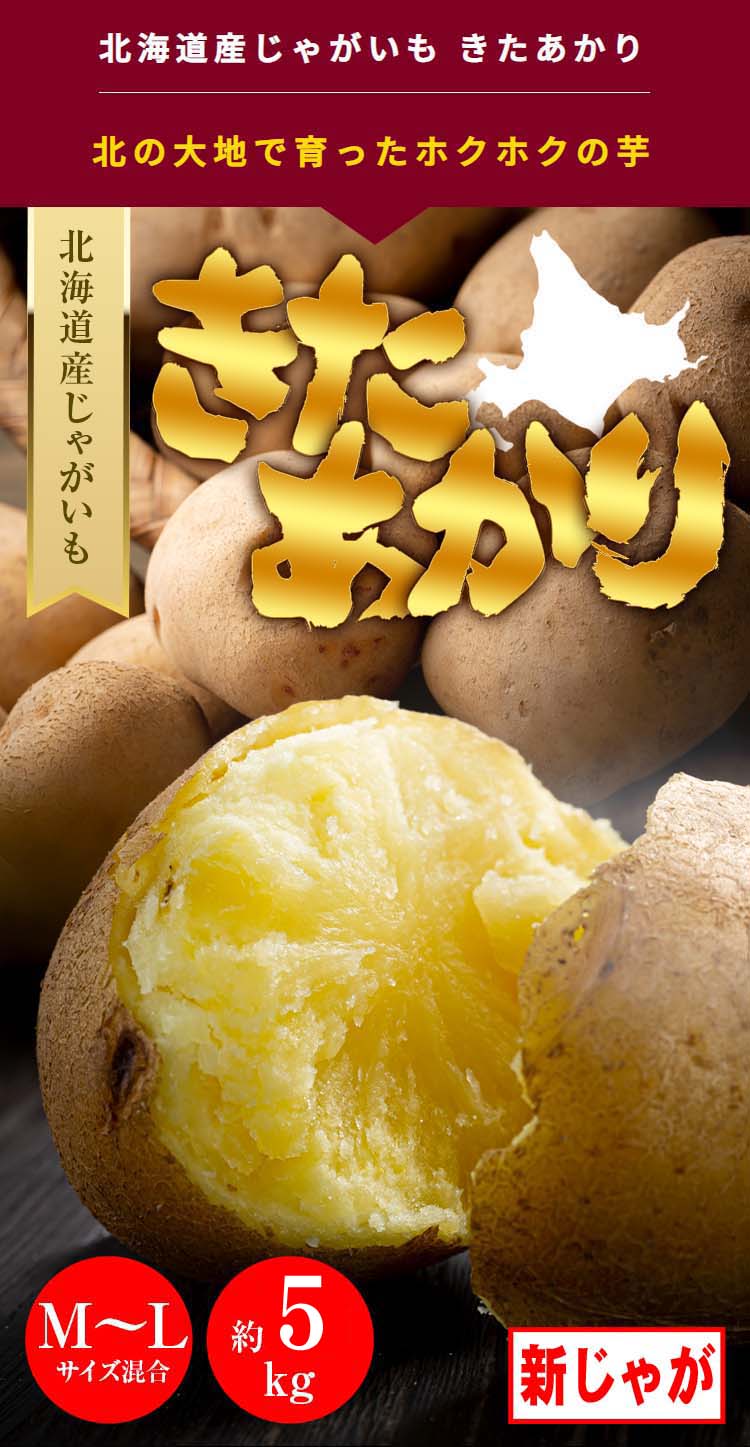 北あかり北海道美瑛じゃがいも