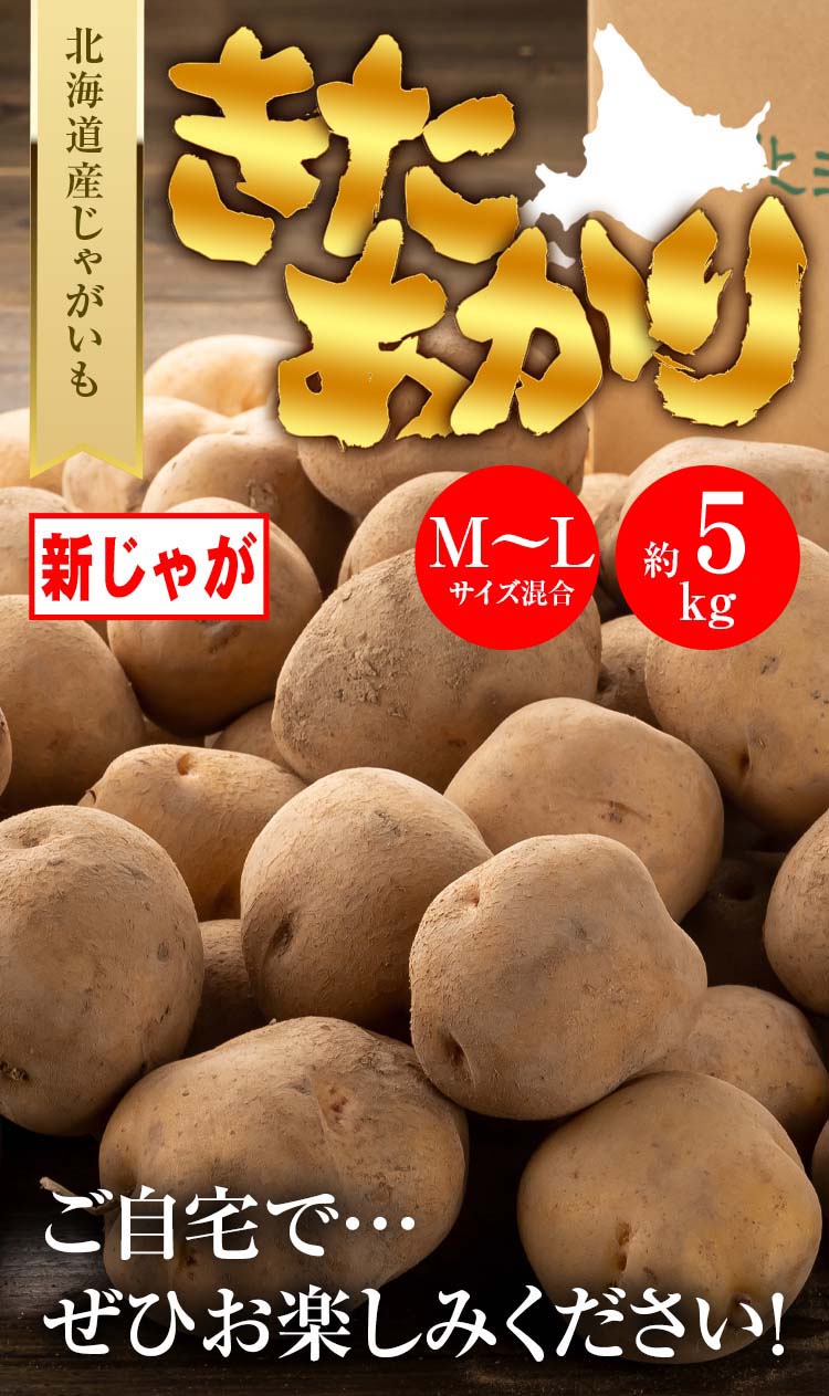 北海道産　北アカリ