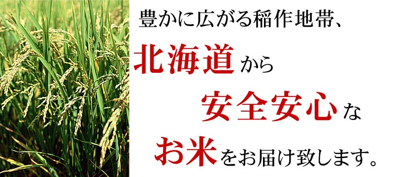 北海道産のお米 ななつぼし