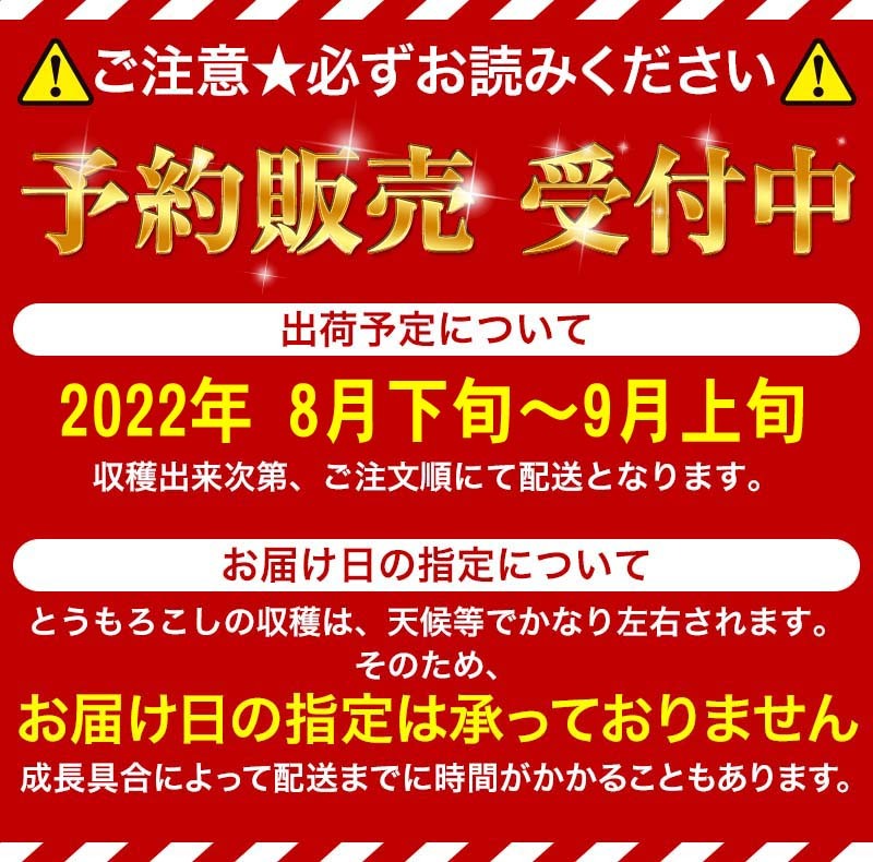 1458円 海外最新 北海道産 ホワイトショコラとゴールドラッシュのセット